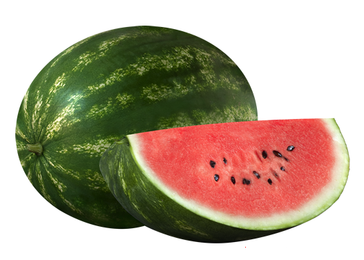 NutriBio