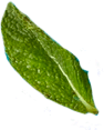 NutriBio